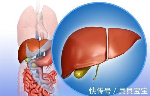 肝脏|经常吃三七粉,对肝脏有影响吗?不管好坏,三类人最好别凑热闹了