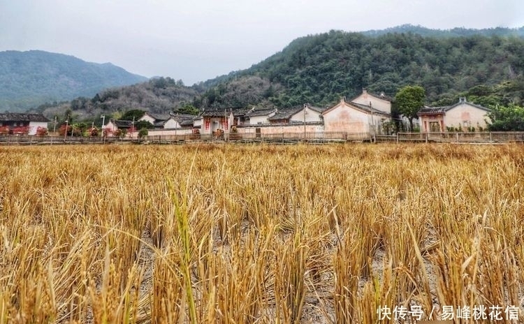 国库|100年前富可敌国大官商，资产超大清国库，却住中国最低调宅院