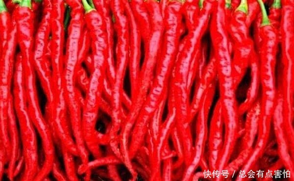 特别喜欢吃|六个最能吃辣的省份,第一是当仁不让,最后一个让人意想不到!