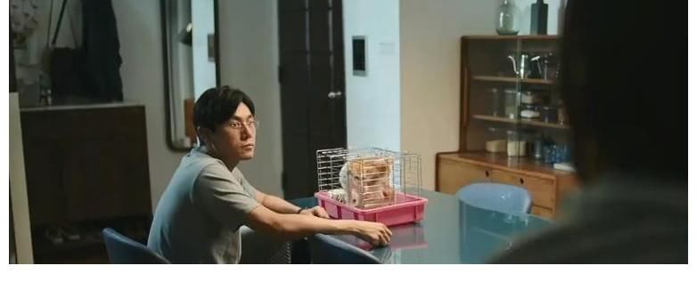 全网|《我就是演员3》抓马不断，小沈阳演技遭全网群嘲，郝蕾引起热议