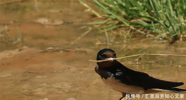 名言|“父子不同桌,叔侄不对饮”,老祖宗三句经典名言,你了解吗