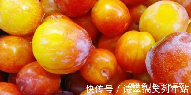营养价值|李子酸甜可口,具有丰富的营养价值,收获优质李子,只需掌握三点