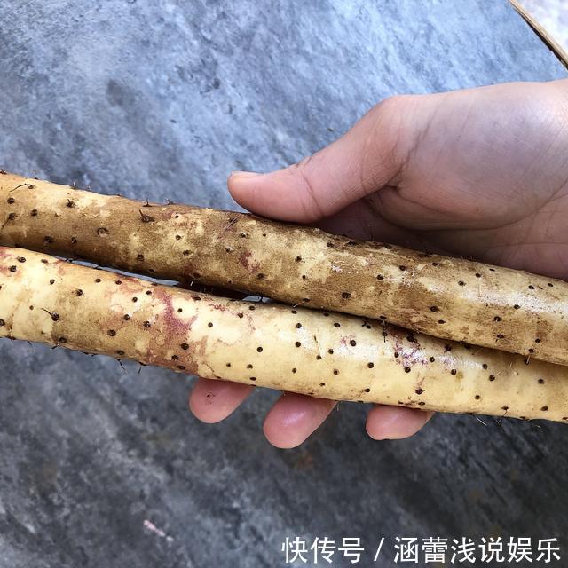 铁棍山药|原来山药去皮很简单,教你小诀窍,去皮干净还不手痒,简单实用