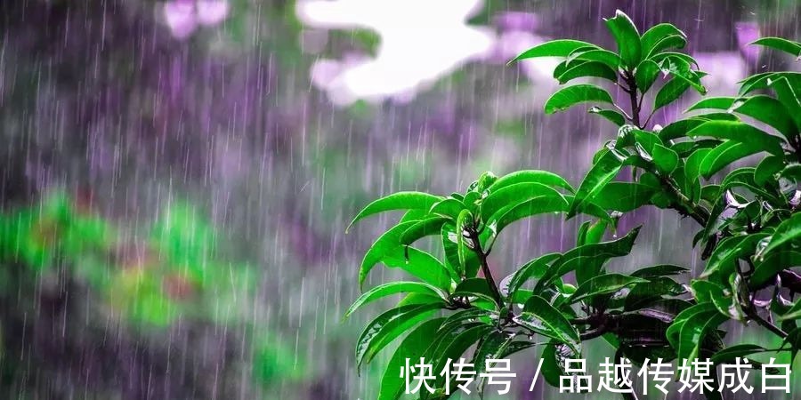 重情重义|一个小小的细节，会暴露了最真实的人