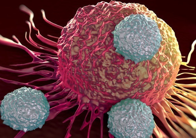 患者|为什么很多人得癌症之后,不治疗没事,一治反而很快人就去世了