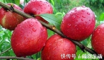 血糖|这种水果吃了血糖稳定不升高，血糖高的人也能吃