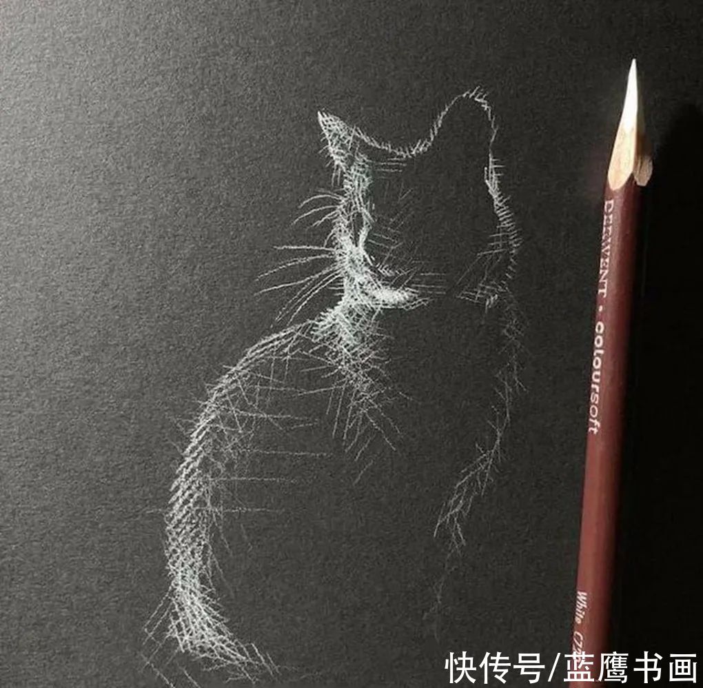  黑色|用白色铅笔在黑纸上画画，李羿慧寥寥几笔，却让人感到妙趣横生