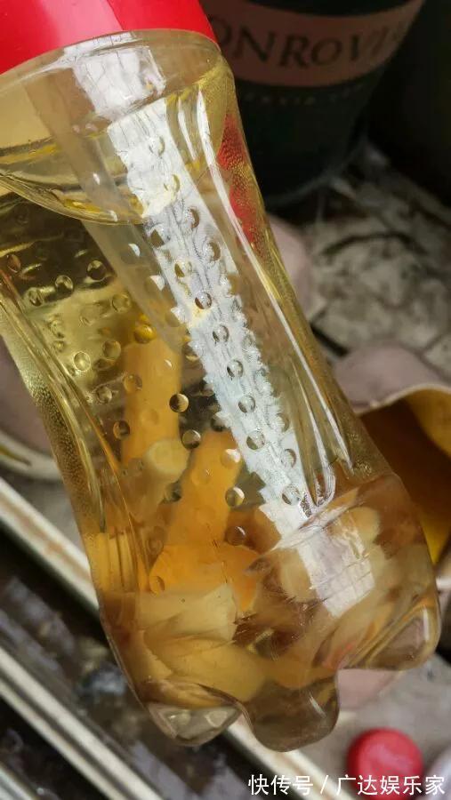 红蜘蛛|养花自制杀菌杀虫水,10天浇一勺,不生虫不得病,长得太旺!