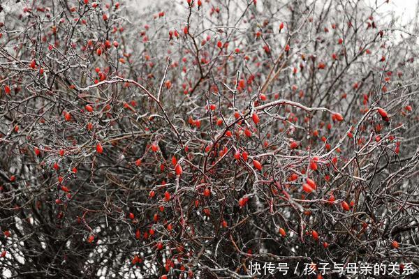 血栓|甘油三酯的“天敌”找到了!没事多吃这5种,血栓或许不敢来找事