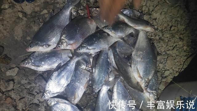 钓友|野钓鳊鱼时的实践技巧,老钓友详细讲解,非常实用