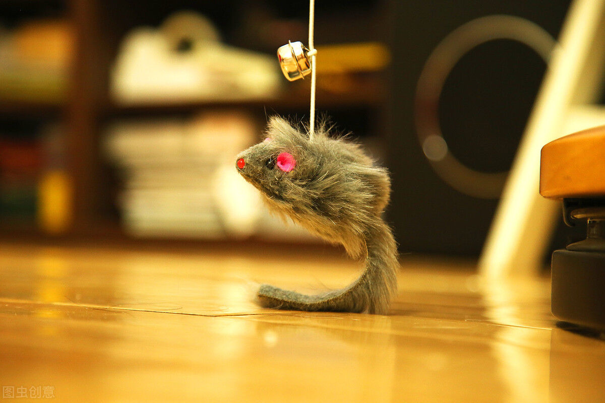 淋巴结|把猫当孙子养，60多岁老伯遭遇不明原因淋巴结肿大