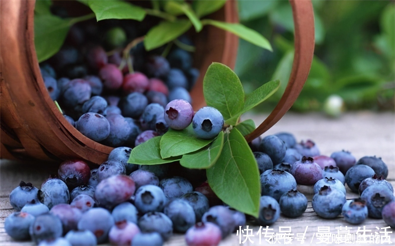 花青素|想长寿要会吃,常吃3物,预防近视,滋润身心,谁吃谁好