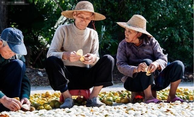 不妨|都说“一两陈皮一两金”!冬季不妨这样用陈皮,养生功效好!