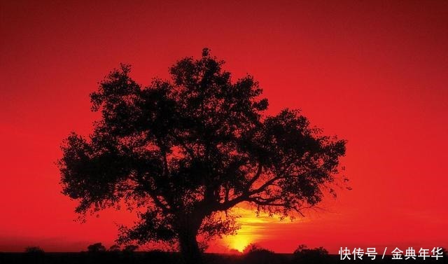 奋斗|马识途人到五十,有一件事比奋斗重要,谁能做到就是成功