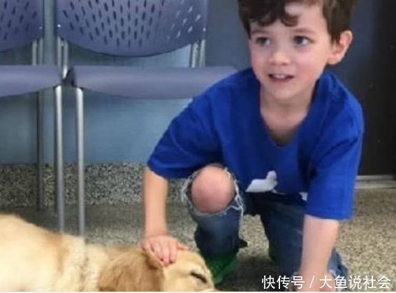 儿子|自闭儿子从不让人靠近,母亲送他条狗,画面让人感动