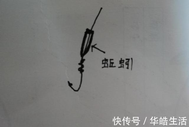 解析四种不同鱼情下蚯蚓的科学挂法，最后两种更是独创