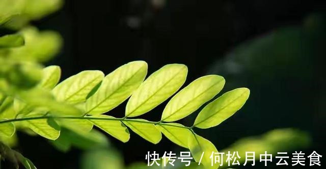 江南人|60种常见野菜，高清大图，收集全了真不容易！