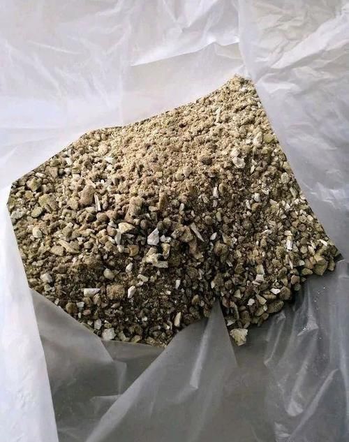 家养君子兰，用2种粉末、3种水，半年不用施肥，照样长得旺！