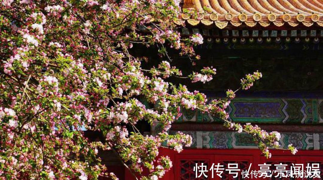 忧愁$岑参两首不可不读的经典,每一首都很孤独,写出了繁华过后的落寞