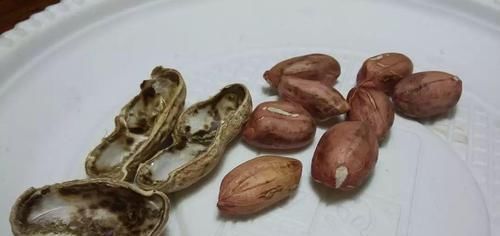 眼睛|肝功能好的人,晨起后一般有4个表现,占2个以上,恭喜肝还不错