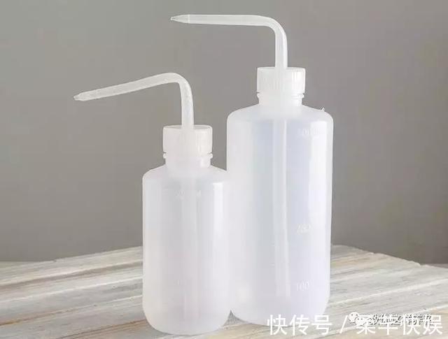 塑料瓶别扔了，用来养花真是神器！可别浪费了！