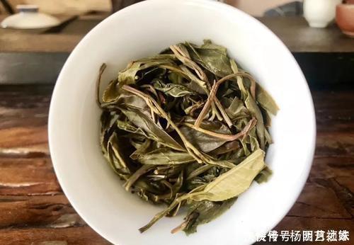 茶叶渣直接倒了真可惜,不如这样处理,当成养花肥促进开花