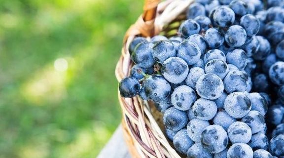 宝宝|孕妇吃这些水果对胎儿好,宝宝会告诉你他的喜好,你都吃了几种?