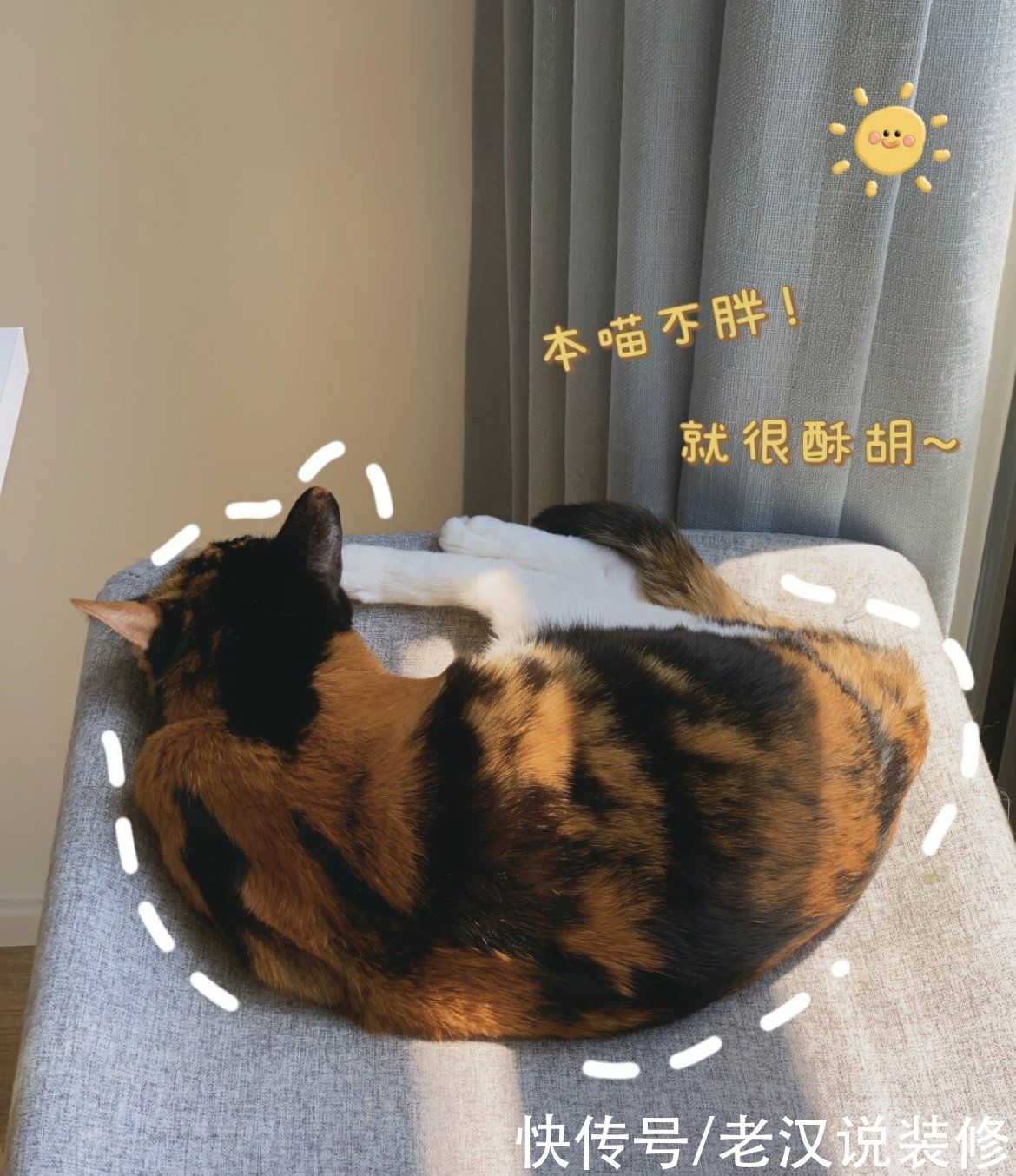 女主人|深圳女屋主，因会布置而走红，63㎡小家精致又高级，一点也不将就