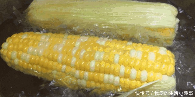新鲜玉米,不要直接冷冻!这么做,玉米放多久吃都新鲜!