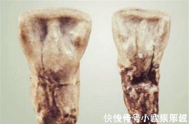 炎黄联盟&炎黄子孙的后代,千年过去仍有3个体征,若没有祖先可能并非汉人