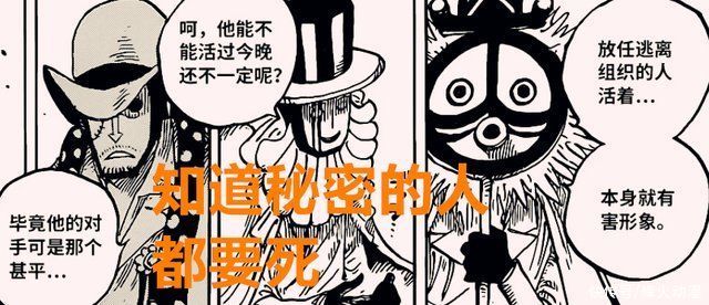 明哥|海賊王1018話:前有明哥，后有福茲弗，世界政府隱瞞了什么真相?