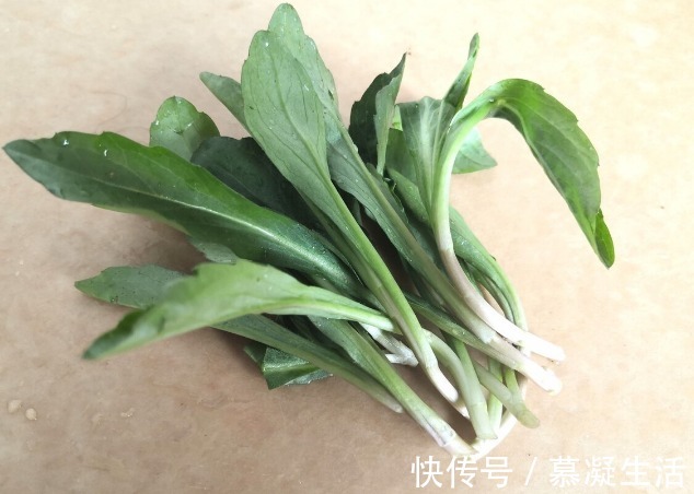 吃法|68种野菜图片,教你认识不同的野菜和吃法,你想要的野菜这里都有