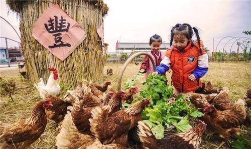 王安石|喌，这个字你认识吗？这个字虽然很生僻，可你却经常挂在嘴边