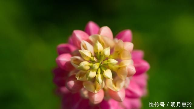 生活|50、60、70岁的朋友,记住这7句话,让你的生活更幸福