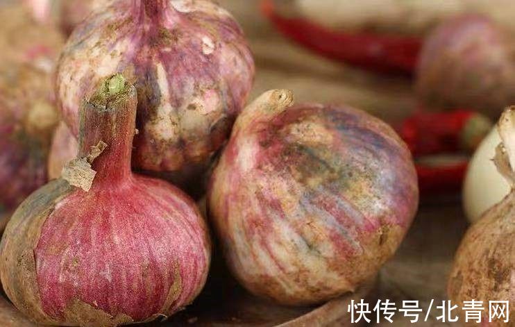 硫化物|大蒜炝锅会致癌？发芽了不能吃？6个真相，看你知道几个？这样搭配，强免疫、少生病