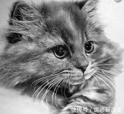 美术生$美术教室里的东西有问题?连零食都是假的,还有真的东西吗?