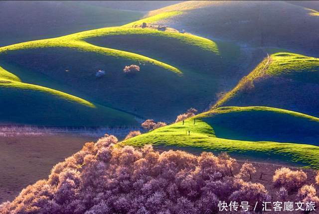 老年|在新疆伊犁杏花香雪里，等待杏花微雨中遇见你，从此一眼千年