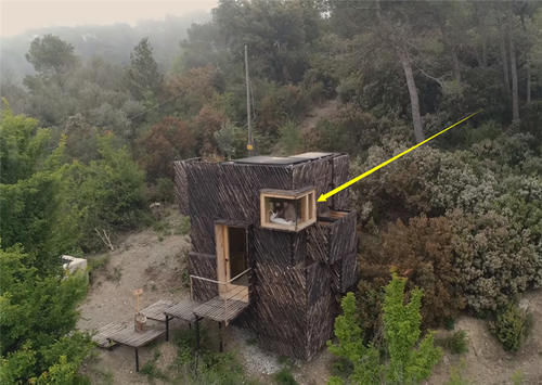 种菜|他用40棵松树,在荒山野林建起小屋,屋顶种菜生活自给自足