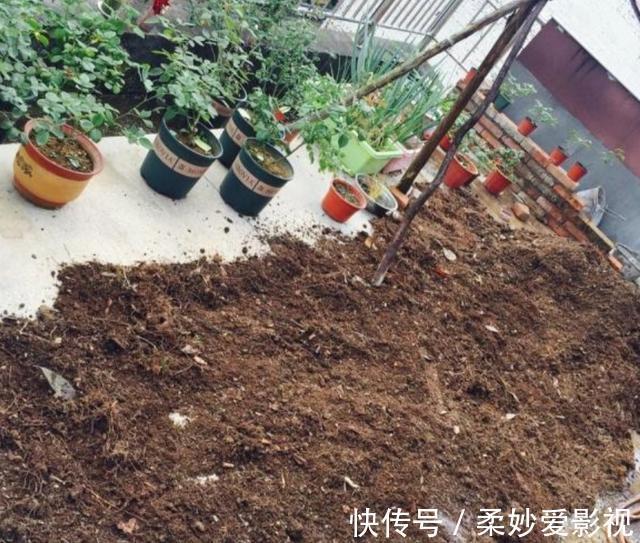 营养土|养花营养土不用买,4种材料搭配起来,松软又肥沃,养啥花都旺