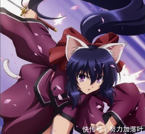 领养|二次元中具有猫耳属性的美少女(猫娘)，你想要领养哪一只呢