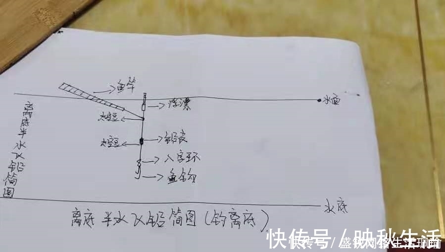千错万错就不该收竿,鲫鱼起浮后,只需调整一番,爆护都没问题