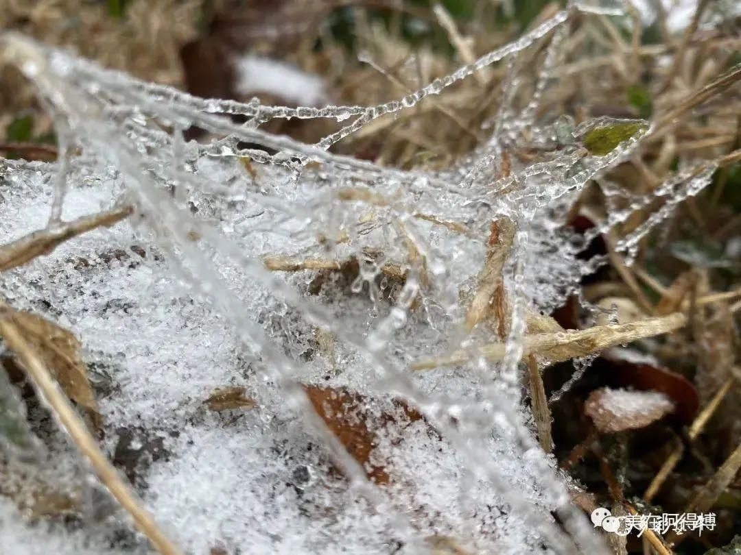 记忆 ｜寒潮再次来袭，还记得前几天的雪吗？