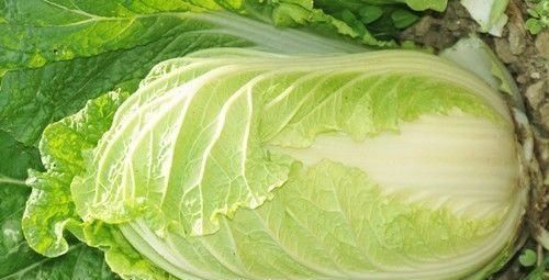 食物|便秘拉不出来太难受？试试多吃6种食物，润肠通便，排便变顺畅