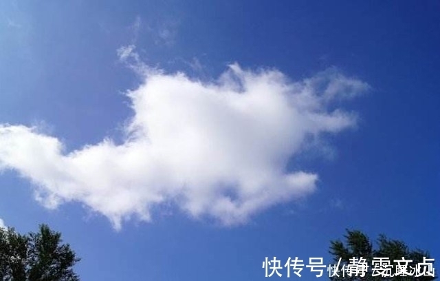 陶渊明@辛弃疾的这首词,句句引经据典,其中一句,堪称神来之笔