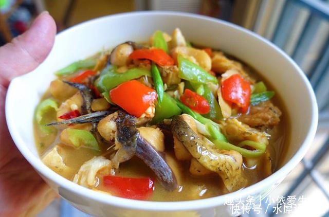 美味|百吃不厌的几道家常菜,上桌备受欢迎,好吃不腻,美味简单超下饭