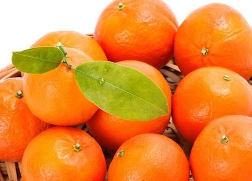 增强体质|对身体很好的三种食物,值得吃一吃,美容养颜,增强体质!