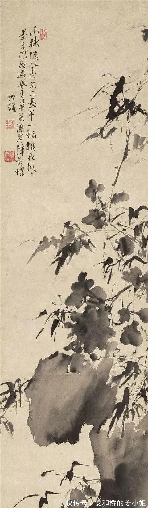 芭蕉！花鸟画一代宗师｜徐渭画竹，当在青藤之后，芭蕉之上，你认为呢？