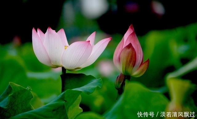 真正人品好的人,往往有一种做人美德,如果没有的话,就要警惕了