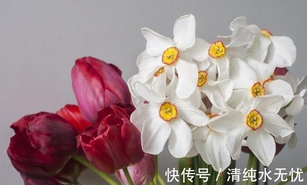 双子座|11月下旬，深陷情网，良缘萌芽，旧情难忘，拼命挽留，再续良缘