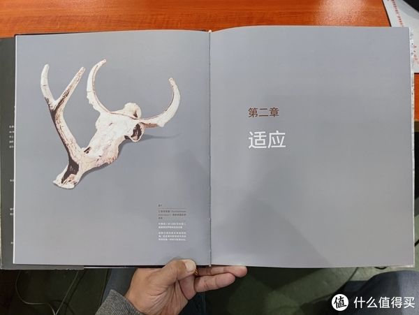 图书馆#图书馆猿の2021读书计划60：《灭绝与演化：化石中的生命全史》